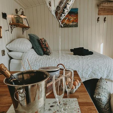 Black Hut At Slieve Croob Glamping Ballyward Ngoại thất bức ảnh